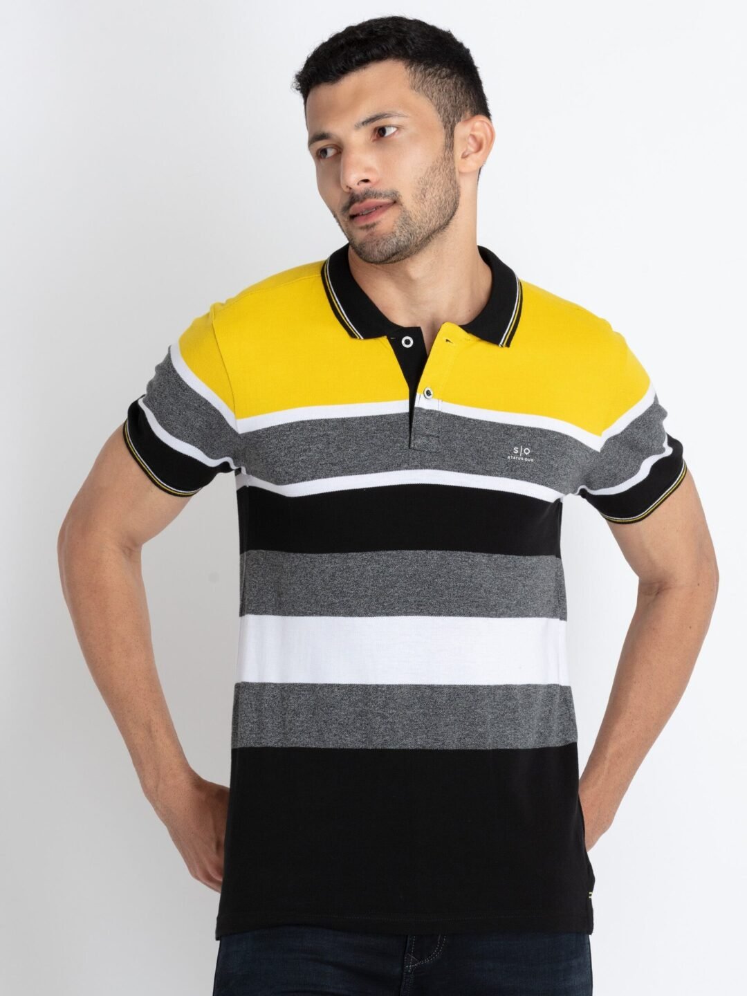 Mens Striped Polo T-Shirt Has Half Sleeves